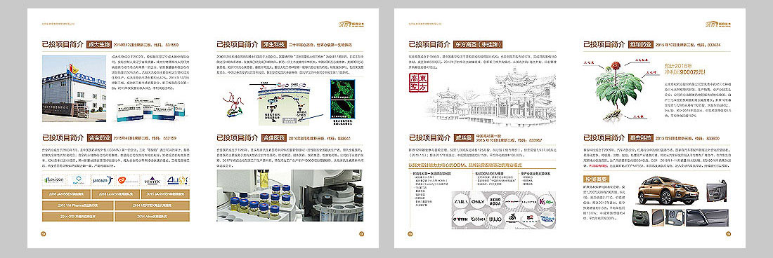 投資公司宣傳冊設(shè)計-6