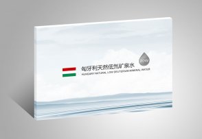 低氘礦泉水宣傳圖冊(cè)_匈牙利品牌畫(huà)冊(cè)